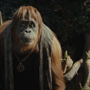 Fotoğraf Maymunlar Cehennemi: Yeni Krallık