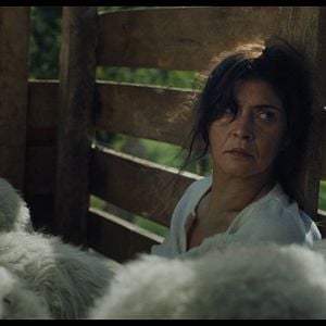 Fotoğraf Janet Novás