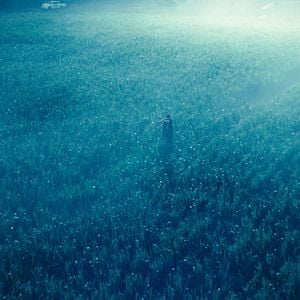 Fotoğraf Hayvan Krallığı