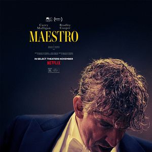 Fotoğraf Maestro