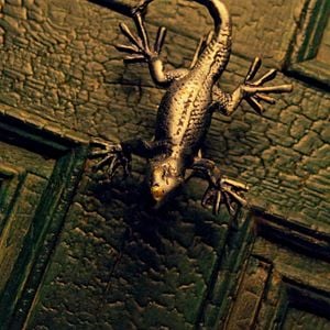 Fotoğraf Silber und das Buch der Träume