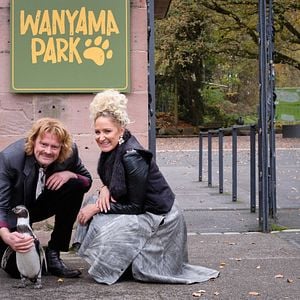 Fotoğraf Kaos Kardeşler ve Penguen Paul