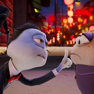 Fotoğraf Dedektif Sun ve Ekibi: Kurtarma Operasyonu