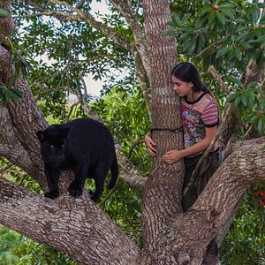 Fotoğraf Lumi Pollack