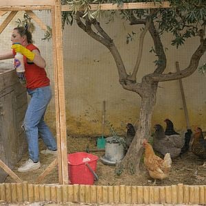 Fotoğraf Anne-Elisabeth Blateau