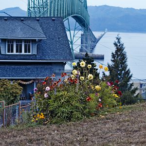 Fotoğraf Sometimes I Think About Dying