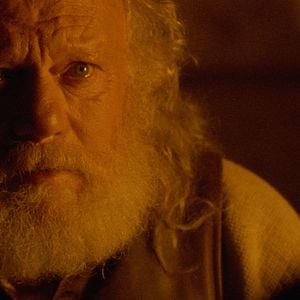 Fotoğraf Kurtların Kardeşliği