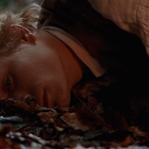 Fotoğraf Kurtların Kardeşliği