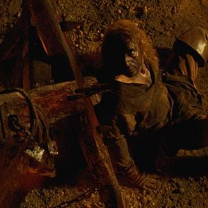 Fotoğraf Kurtların Kardeşliği