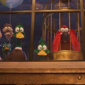 Fotoğraf Ördeklerin Göçü