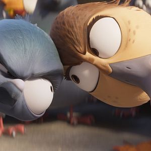 Fotoğraf Ördeklerin Göçü