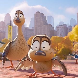 Fotoğraf Ördeklerin Göçü