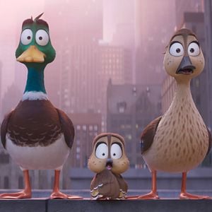 Fotoğraf Ördeklerin Göçü