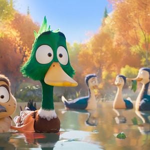 Fotoğraf Ördeklerin Göçü