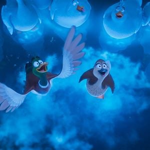 Fotoğraf Ördeklerin Göçü