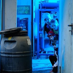 Fotoğraf Kaos Kardeşler ve Penguen Paul