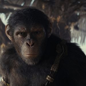 Fotoğraf Maymunlar Cehennemi: Yeni Krallık