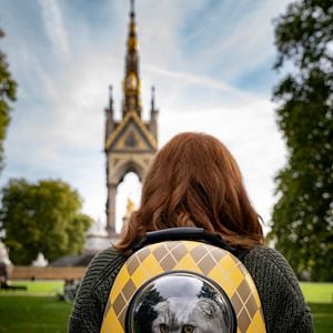 Fotoğraf Argylle: Gizli Casus