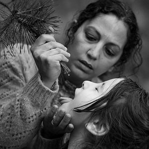 Fotoğraf Zielona granica