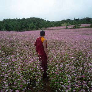 Fotoğraf The Monk And The Gun