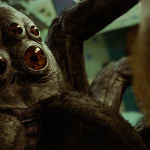 Fotoğraf Bir Astronotun Sonsuz Yolculuğu