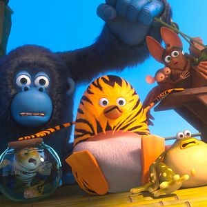 Fotoğraf Orman Çetesi: Dünya Turu