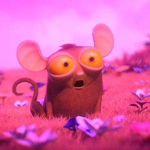 Fotoğraf Orman Çetesi: Dünya Turu