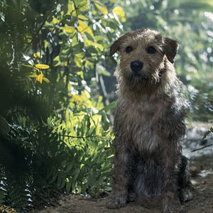 Fotoğraf Kral Arthur