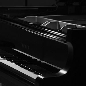 Fotoğraf Ryuichi Sakamoto Opus