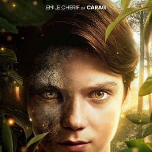 Fotoğraf Woodwalkers