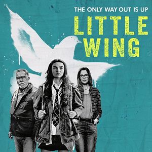 Fotoğraf Little Wing