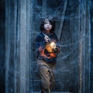 Fotoğraf Örümcek Ağı