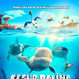 Fotoğraf Cesur Balina Katak