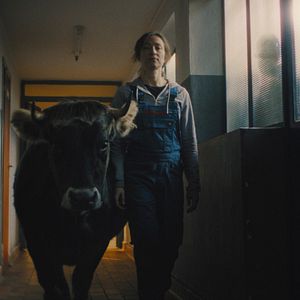 Fotoğraf Alle die du bist