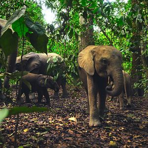 Fotoğraf Hayat Dolu Dünyamız