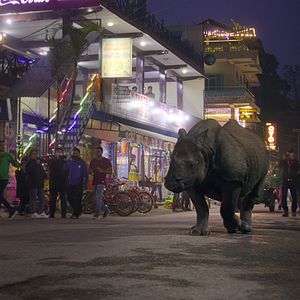 Fotoğraf Hayat Dolu Dünyamız