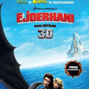 Fotoğraf Ejderhanı Nasıl Eğitirsin