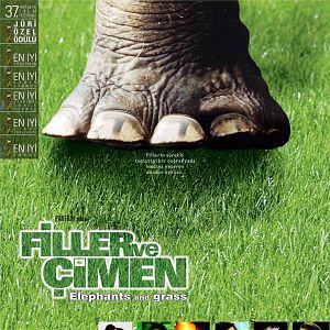 Fotoğraf Filler ve Çimen