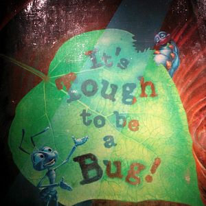 Fotoğraf It's Tough to Be a Bug