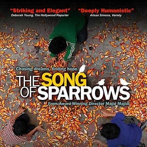 Fotoğraf The Song of Sparrows