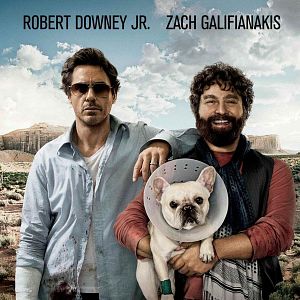 Fotoğraf Git Başımdan!