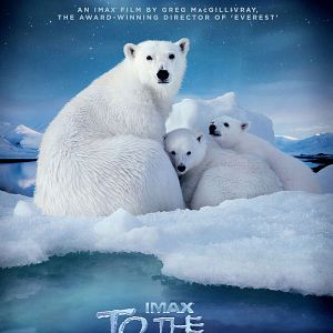 Fotoğraf To the Arctic