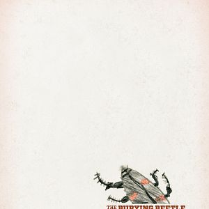 Fotoğraf The Burying Beetle