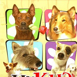 Fotoğraf Ma mha 4 khaa khrap