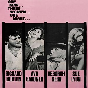 Fotoğraf İguana Geceleri