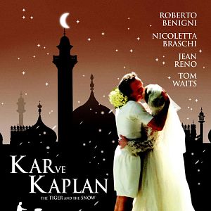 Fotoğraf Kar ve Kaplan