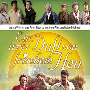 Fotoğraf Ein irrer Duft von frischem Heu