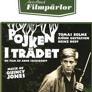 Fotoğraf Pojken i trädet