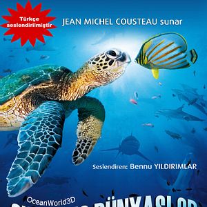 Fotoğraf Okyanus Dünyası 3D