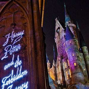 Fotoğraf Harry Potter and the Forbidden Journey